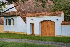 Experience Transylvania Viscri 161A